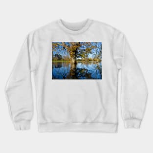 Horse Chestnut in the flooded River Ouse, York, England Crewneck Sweatshirt